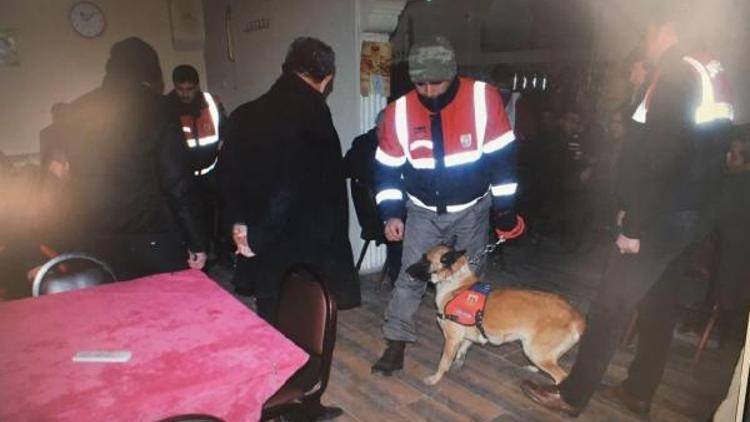 Jandarmanın narkotik ve bomba arama köpekli asayiş uygulaması