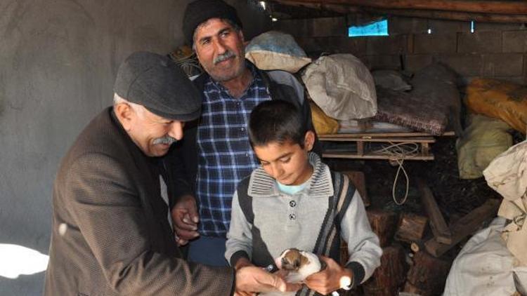 Sokakta bulduğu yavru köpekleri biberonla besliyor