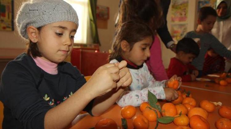 Mersinde okullara 7 ton mandalina dağıtıldı