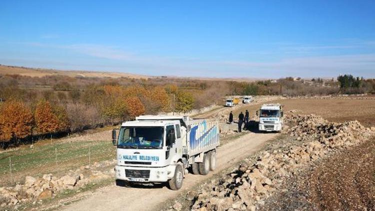 Haliliyede yol çalışmaları