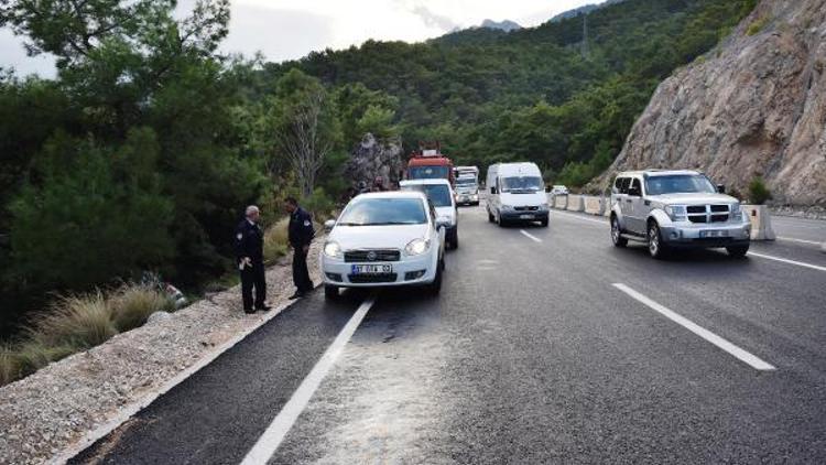 Uçuruma yuvarlanmaktan ağaç kurtardı