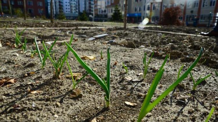 Beylikdüzü’nde okullara yeni hobi bahçeleri