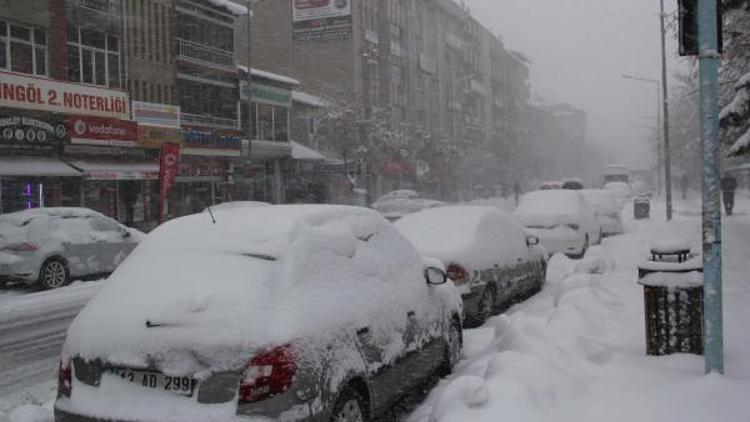 Doğu ve Güneydoğuda kar esareti