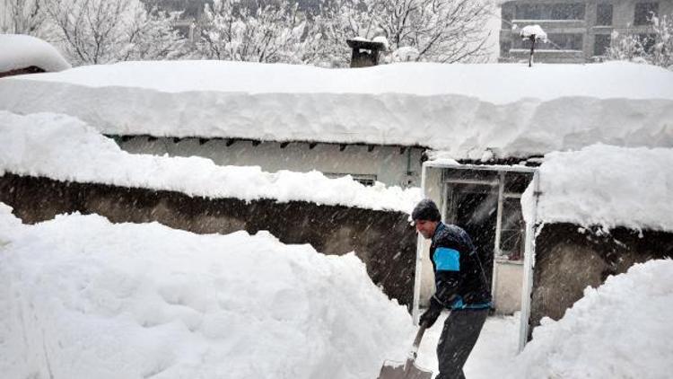 Bitlis’te 350 köy yolu ulaşıma kapandı, okullar tatil edildi