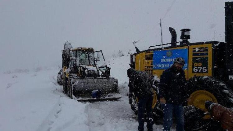 Bingöl, Tunceli ve Siirtte kar esareti sürüyor (2)