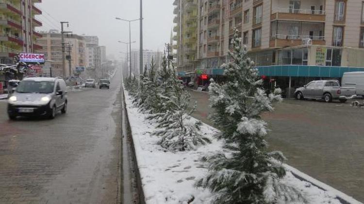 Silvanda 21 köy yolu kardan ulaşıma kapandı