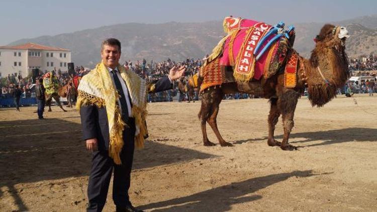 Buharkent deve güreşleri iptal oldu