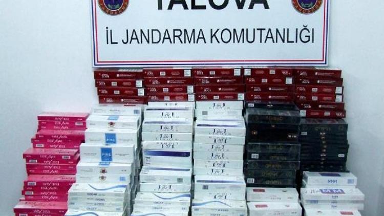 Yalovada 20 bin paket kaçak sigara ele geçirildi