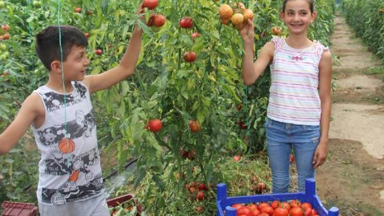 İmar açılımına tarım itirazı