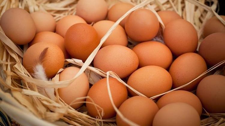 45 ülkede kuş gribi çıktı yumurta ihracatı katlandı; iç piyasada fiyatı arttı