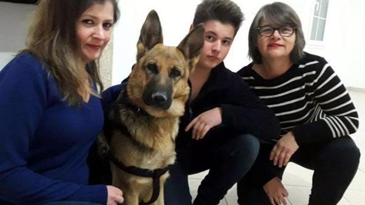 Kayıp köpek 9 gün sonra bulundu