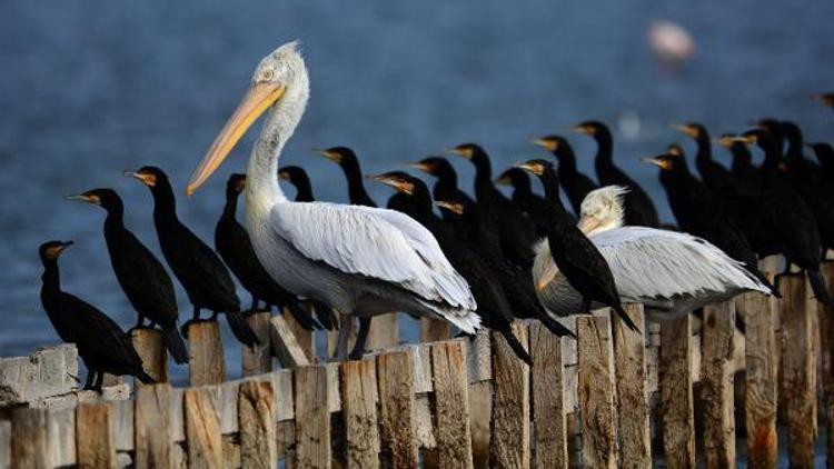 Foto Safaride ödüller verildi