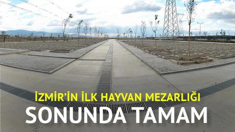 İzmirin ilk hayvan mezarlığı tamamlandı