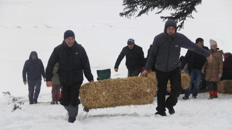 Karlı kaplı ormanlara yaban hayvanları için saman ve ekmek