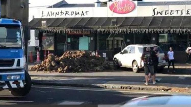 Yeni Zelandada kafeterya önüne 40 ton pislik