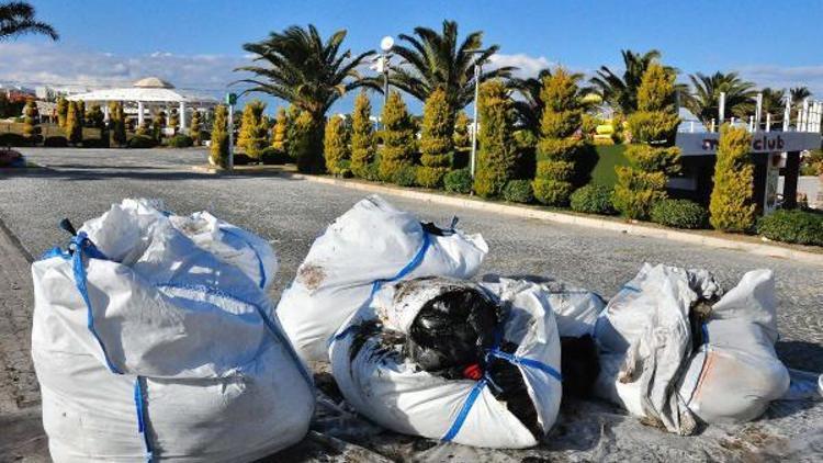 Çeşme plajlarında temizlik 2 ay sürecek