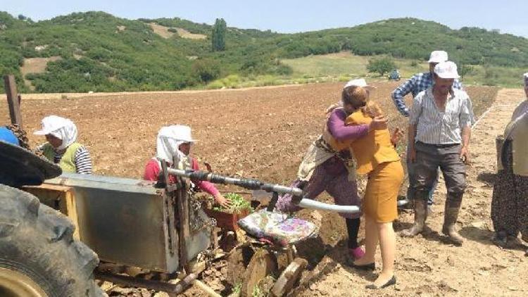 CHPli Basmacıdan sertifikalı tohum eleştirisi