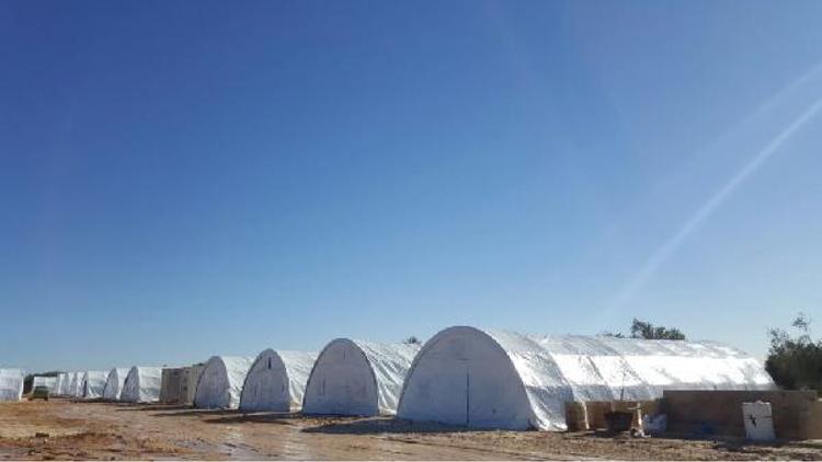 Kırıkhana ulaşan Türkmenler için Azezde çadır kent kuruldu