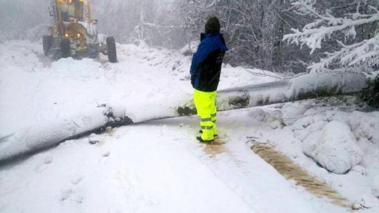 Elektrik arıza ekiplerinin karla mücadelesi