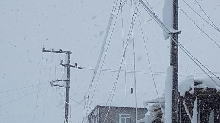 Sedaş: Elektrik kesintilerinin nedeni buz yükü