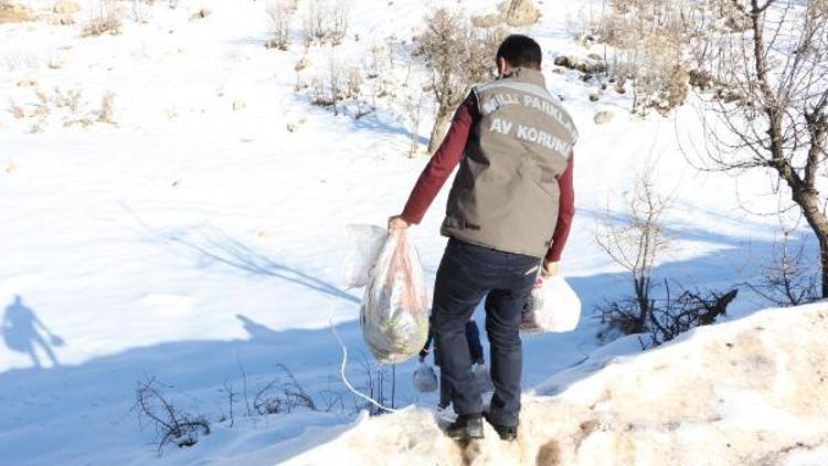 Şırnakta yaban hayvanlar için doğaya yem bırakıldı