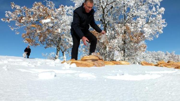 Doğaya yiyecek bırakan ekibin aracı kara saplandı