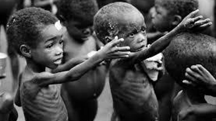 Nijeryada binlerce çocuk açlıktan ölüyor
