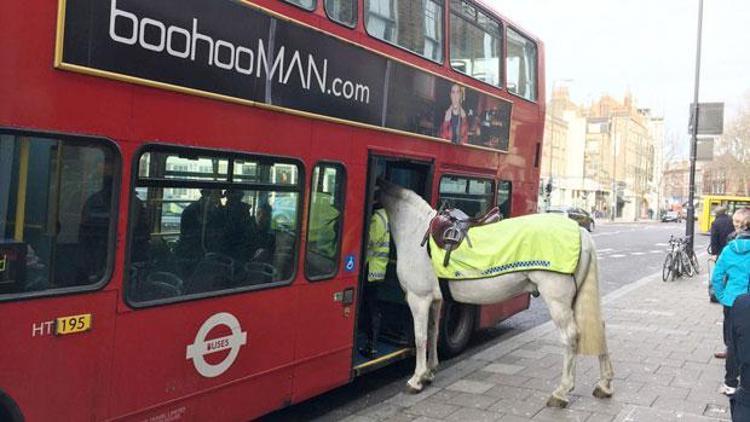 Londra’da polis atı kahraman ilan edildi