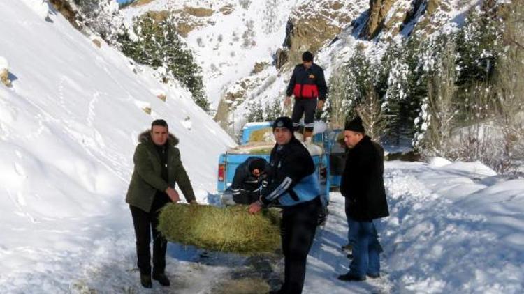 Çayda hayvanlara yem bırakıldı