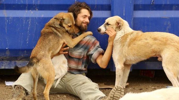 Üniversiteyi bıraktı, 50 köpeğe bakıyor