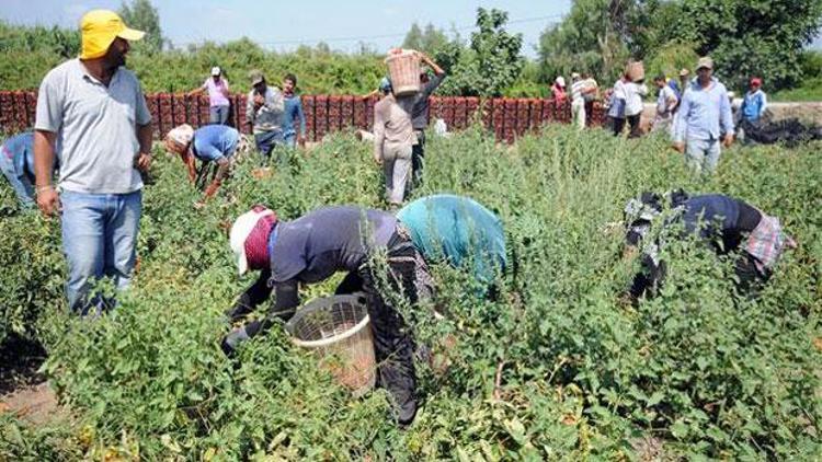 Saray’da gündem taşeron işçiler