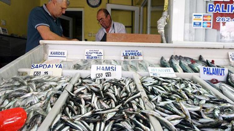 Balıkçılar yeni yılda hamsiden umutsuz