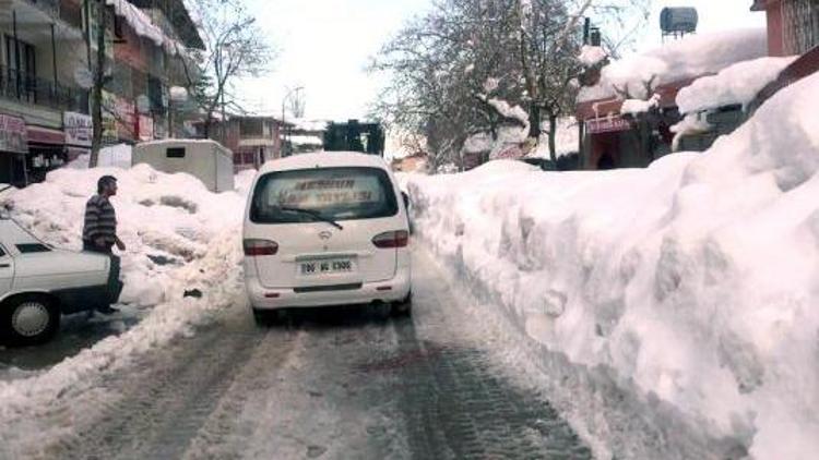 Tekir kar altında