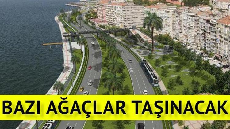 Karataştaki bazı ağaçlar taşınıyor