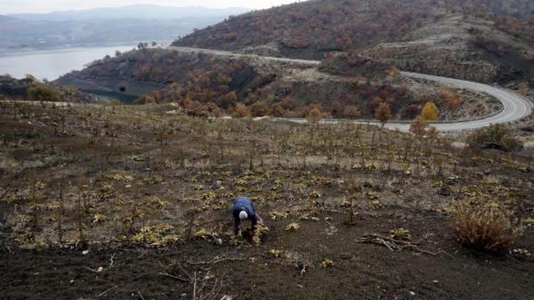 26 bin yıllık fosil ayak izleri korunmayı bekliyor