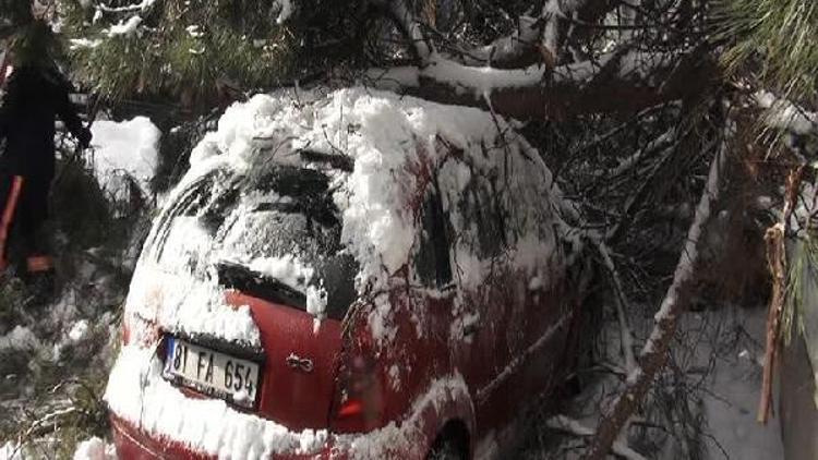 Ağaç park halindeki otomobilin üstüne devrildi