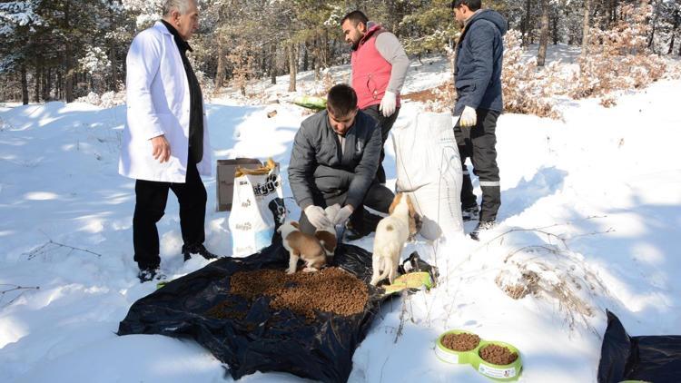 Doğadaki dostlar unutulmadı