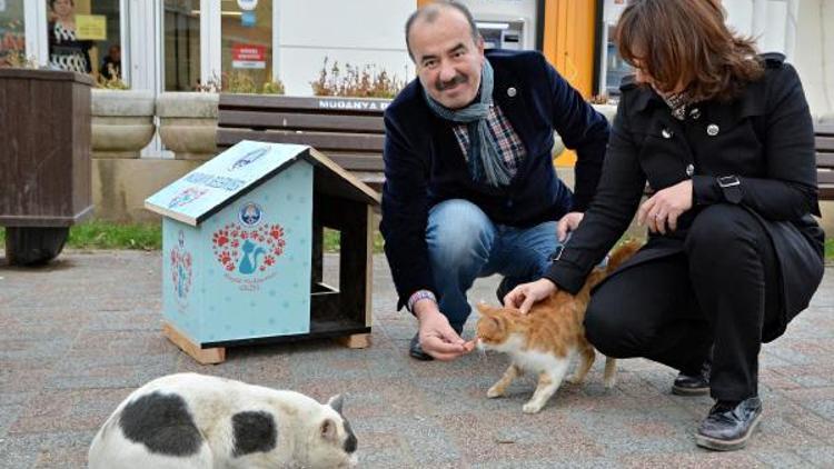 Mudanya Belediyesi’nden sokak hayvanlarına mama