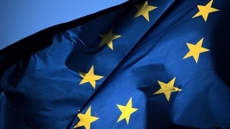 AfD, bazı ülkelerin Euro Bölgesinden çıkmasını istiyor