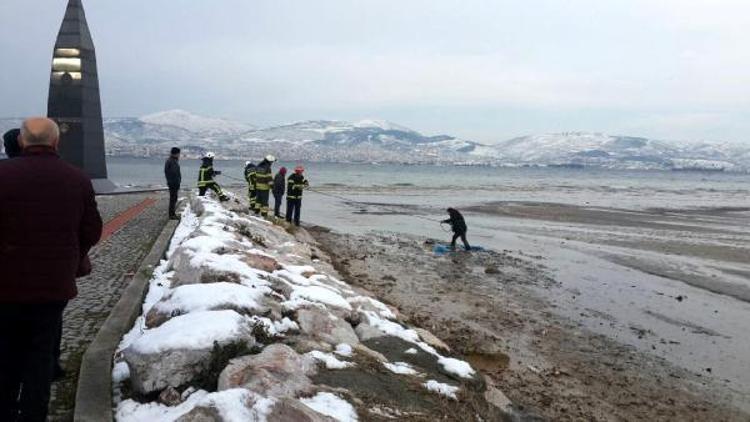 Kediyi kurtarırken, mahsur kaldı