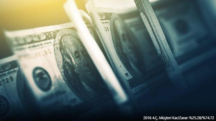 Amerikan Doları 2017’de nasıl bir seyir izleyecek
