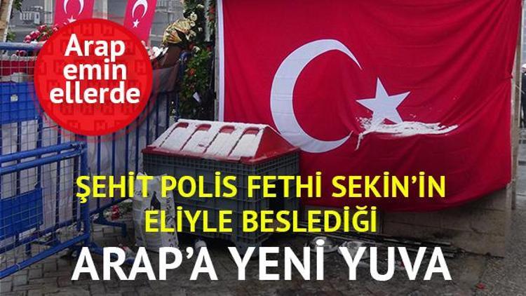 Şehit polis Fethi Sekinin beslediği köpek için kulübe yaptırıldı