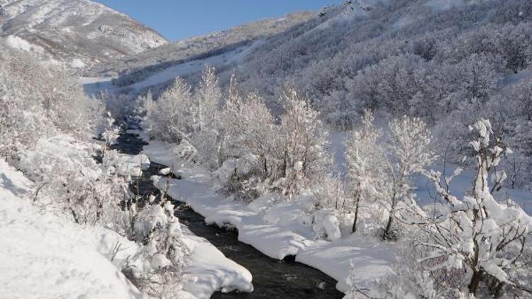 Tuncelide kar yağışı nedeniyle 250 köy yolu ulaşıma kapandı