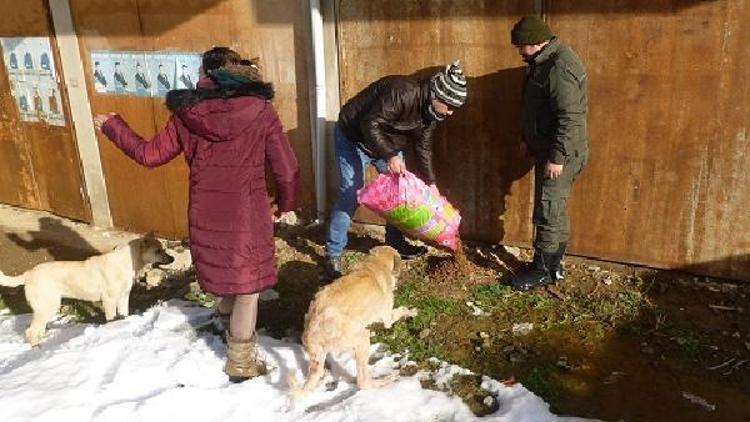 Soğuk havalarda sokak hayvanları unutulmadı