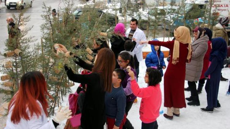 Minikler kuşlar için yaptıkları yemlikleri ağaçlara astı