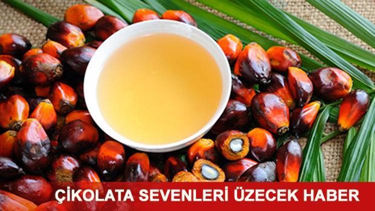 Palmiye yağı nedir Hangi ürünlerin içerisinde bulunuyor