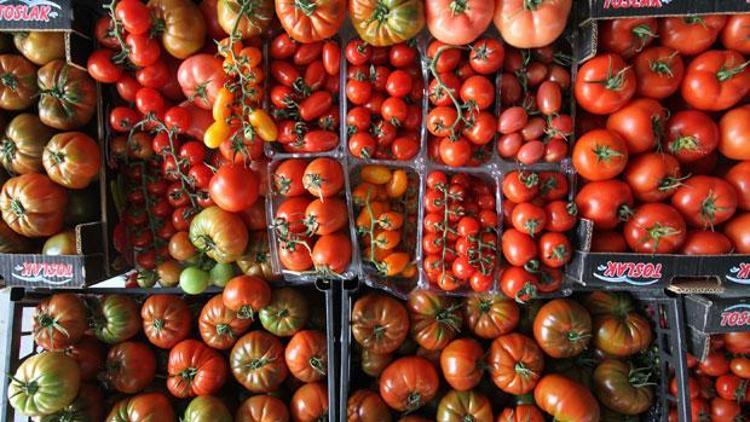 Türkiye 186 ülkeye tarımsal ürün satıyor