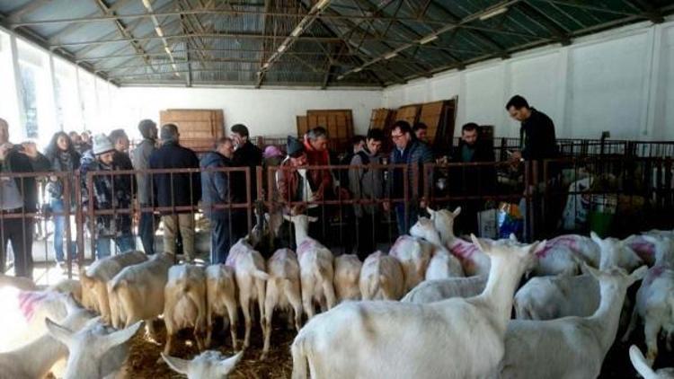 ÇOMÜ’de “Türk Saanen Keçisi ve Tahirova Koyunu” çalıştayı yapıldı