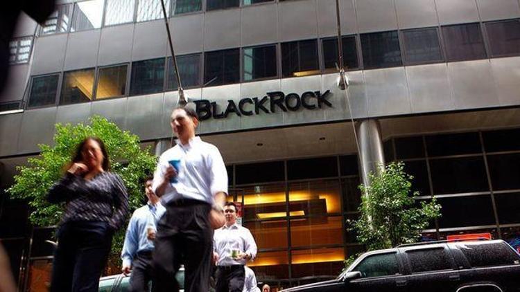 BlackRock: Doların daha da yükselmesi için potansiyel var