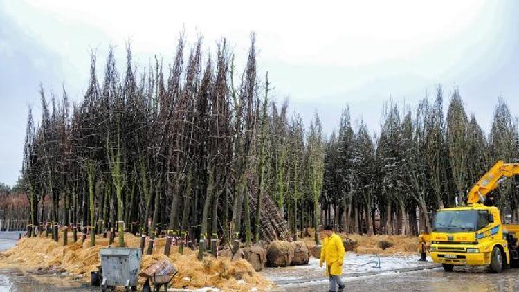 Çorum’da 40 milyon TL’lik Kentpark yılsonunda bitecek